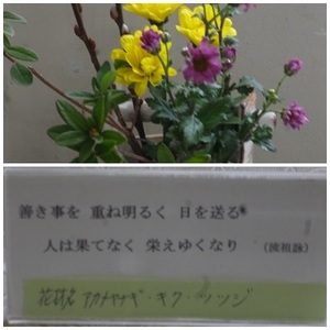 今週のお花（３／１４）.jpg