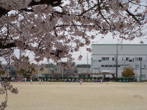 P1110218.JPG