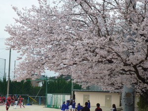 P1110219.JPG