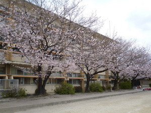P1110220.JPG