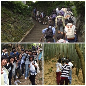 熊野古道②.jpg