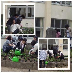 28秋花壇定植後①.jpg