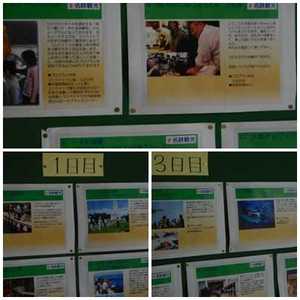 修学旅行（体験ギャラリー）.jpg
