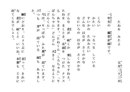page523.jpg