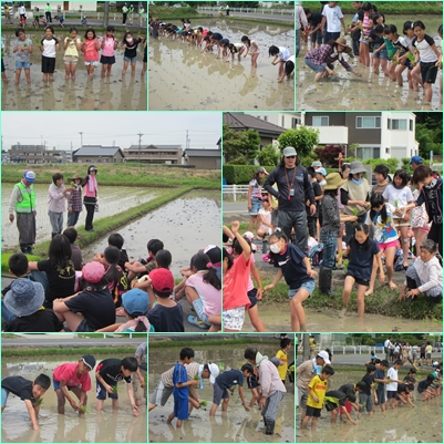 5.22田植え2.jpg
