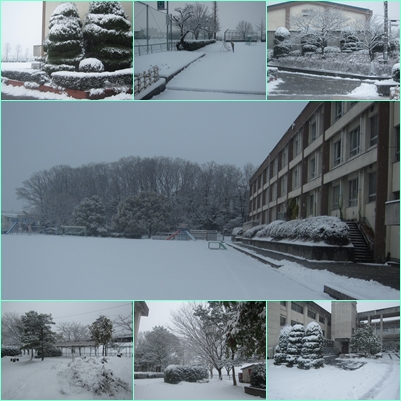 1.20 雪.jpg