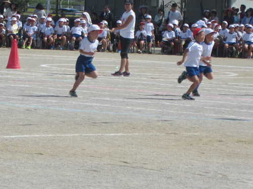 IMG_2439.JPG