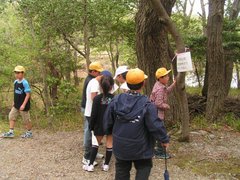 ２０１１年４月２６日...遠足 038.jpg