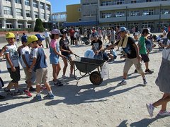 IMG_3377.jpg