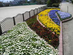 P1010039.JPG