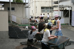 GEDC0042.JPG