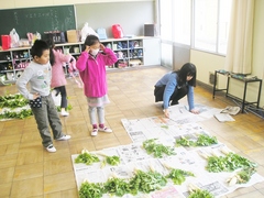 大根２.JPG