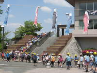IMG_4954.JPG