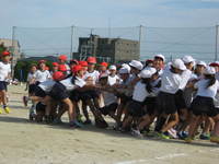 IMG_6768.JPG
