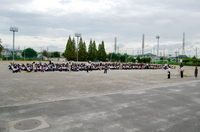 DSC_247.JPG