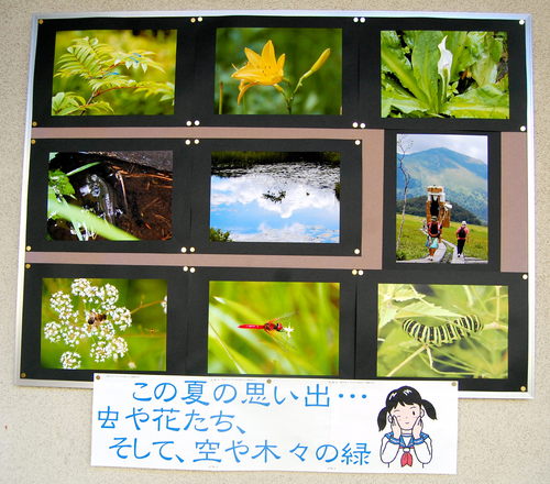 20130801_111447826.JPG