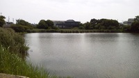2015060209360001.jpg