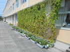 DSCN0851.JPG