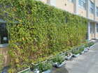 DSCN0852.JPG