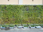 DSCN0853.JPG