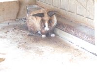 DSCN0855.JPG