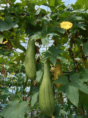 DSCN1211.JPG
