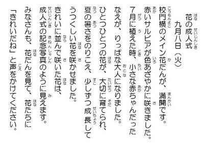 花の成人式.JPG