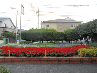 DSCN1284.JPG