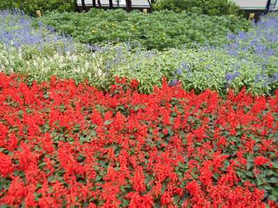DSCN1286.JPG