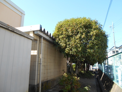 DSCN1727.JPG