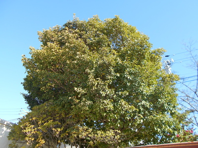 DSCN2306.JPG