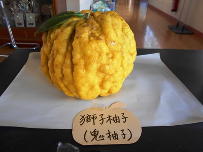 DSCN2313.JPG