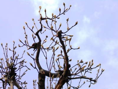 DSCN2403.JPG