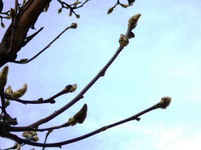 DSCN2404.JPG