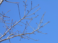 DSCN2429.JPG