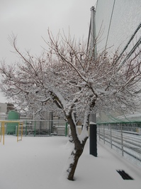 DSCN2664.JPG
