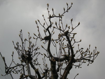 DSCN2063.JPG