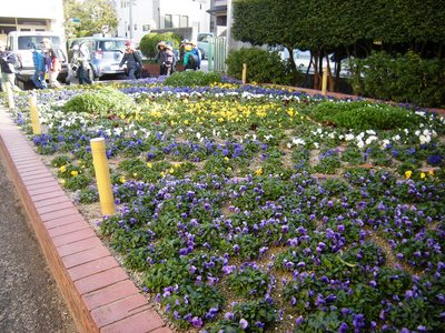 311花 (4).JPG