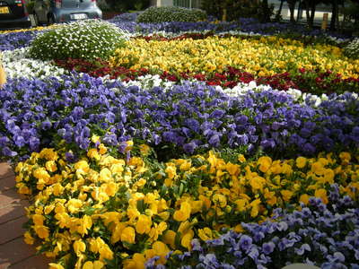 DSCN3020.JPG