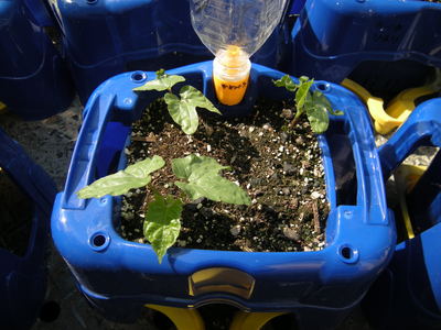DSCN3739.JPG