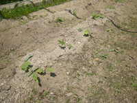 DSCN3755.JPG