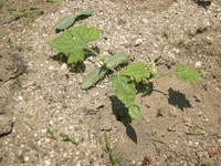 DSCN3756.JPG