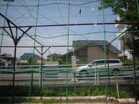 DSCN3757.JPG