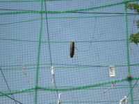 DSCN3758.JPG
