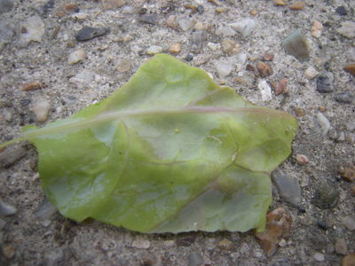 DSCN3859.JPG
