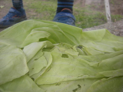 DSCN3861.JPG