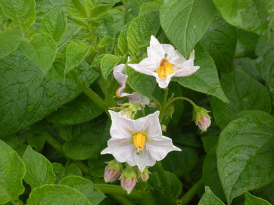DSCN3887.JPG