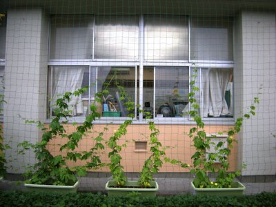 DSCN4199.JPG