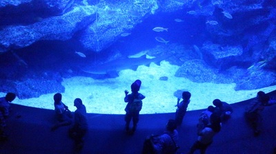 すみだ水族館3.jpg