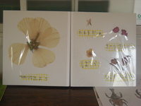DSCN5009.JPG